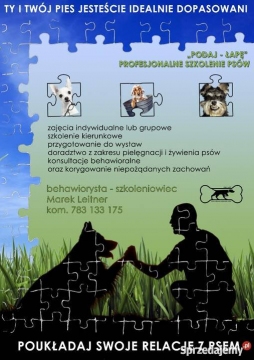 szkolenie-psow-przemysl-podkarpackie-481449260